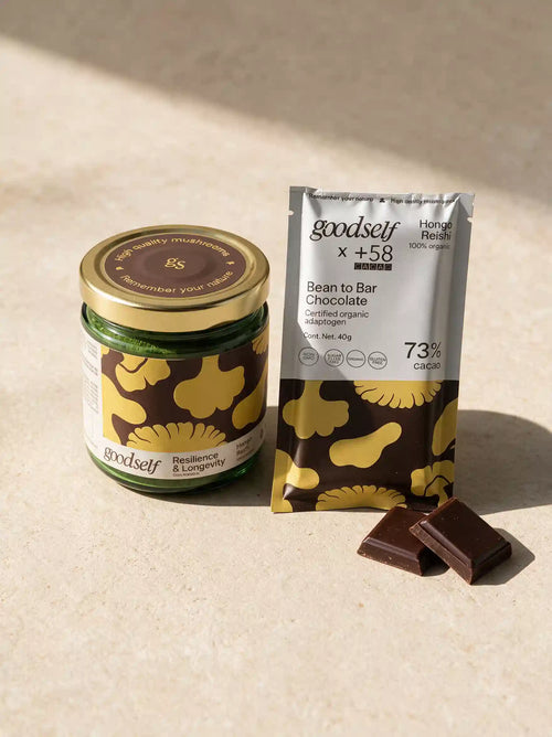 Pausa Consciente — Reishi + Chocolate