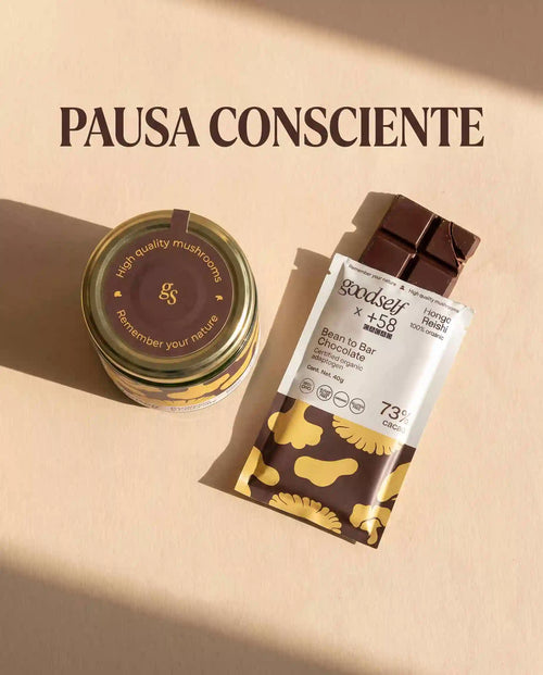 reishi orgánico en polvo y el chocolate bean to bar con reishi, hecho con cacao venezolano 73%.